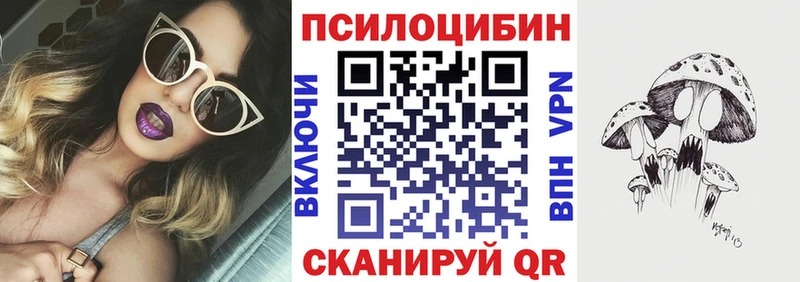 сайты даркнета клад  Великие Луки  Псилоцибиновые грибы Psilocybe  сколько стоит 