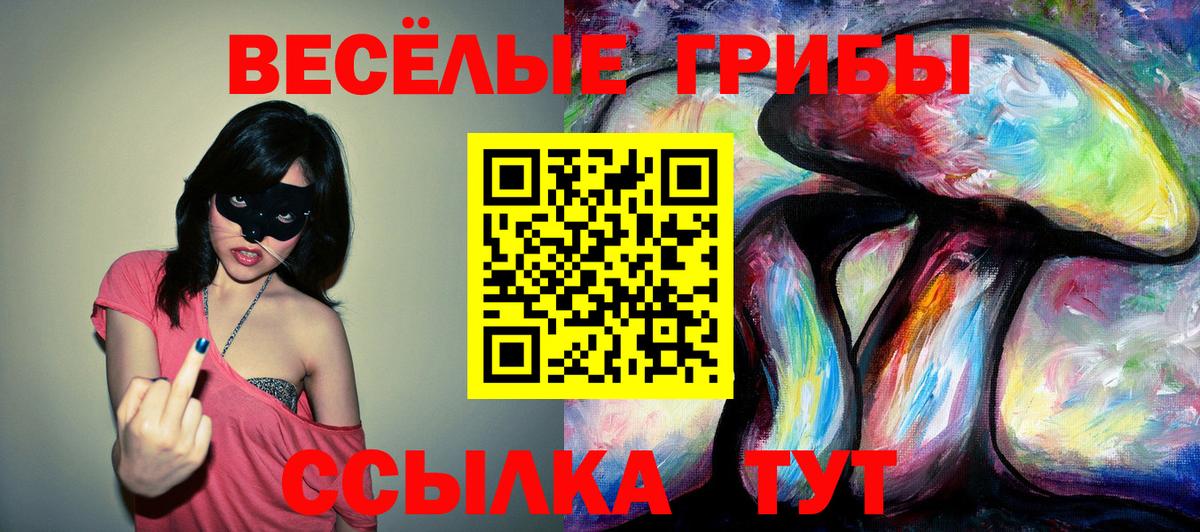 Псилоцибиновые грибы Psilocybe  Вход с VPN  Великие Луки 