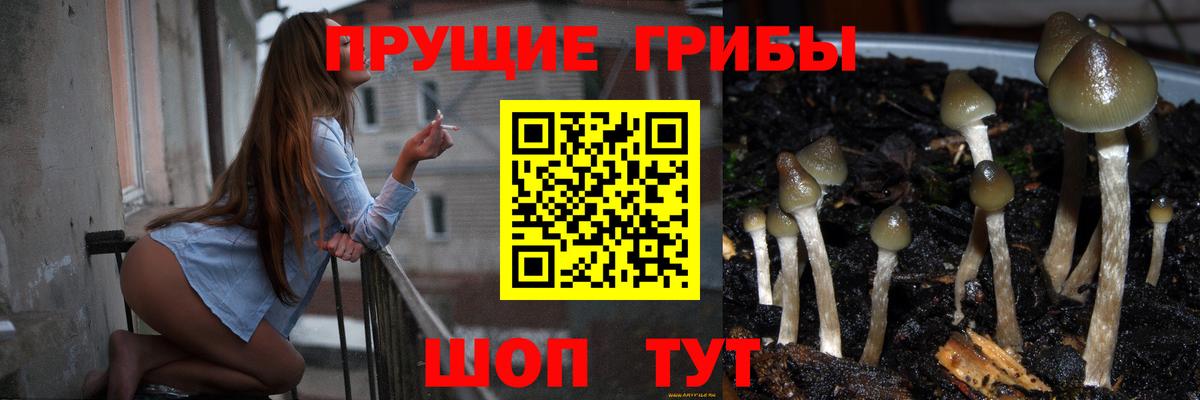 Псилоцибиновые грибы мухоморы Великие Луки
